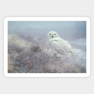 Misty Morning Snowy Owl Sticker